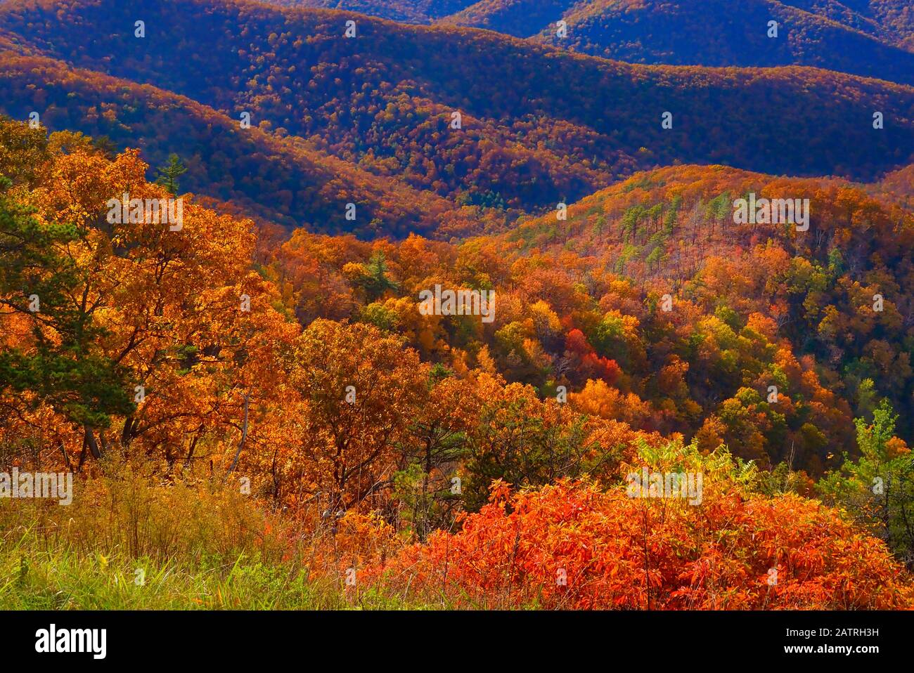 Rockytop Overlook, Shenandoah National Park, Virginia, Stati Uniti Foto Stock