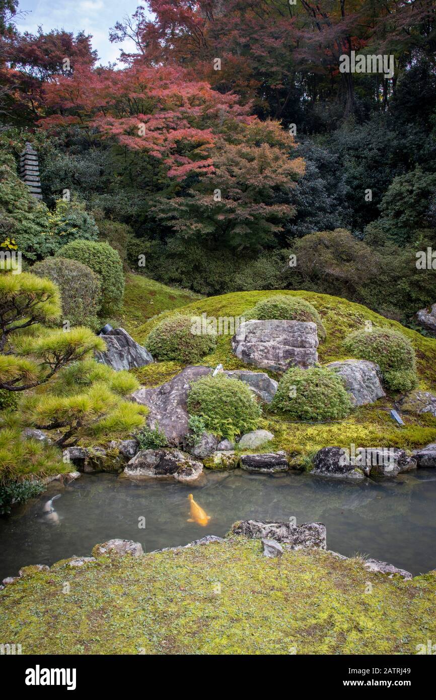 Vista del colorato fogliame Autunnale in giardino, tempio buddista Shoren-in a Kyoto, Giappone Foto Stock