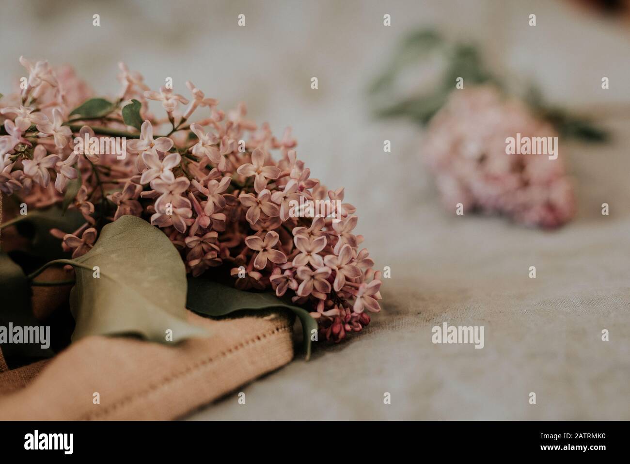 Primo piano di fiori lilla viola ramificazione in fiore su foglio di lino, eco stile di vita, vita ferma, spazio per il testo, rustico con grano Foto Stock