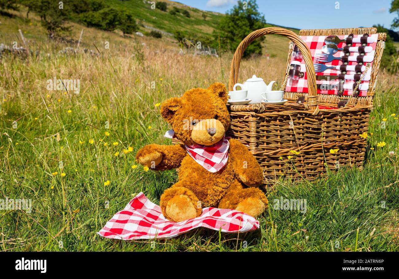 Teddy Bear's pic-nic. Un orso bruno carino che indossa un neckerchief rosso e bianco. Sabato in un prato inglese a Summertime. Tradizionale cesto in vimini Foto Stock