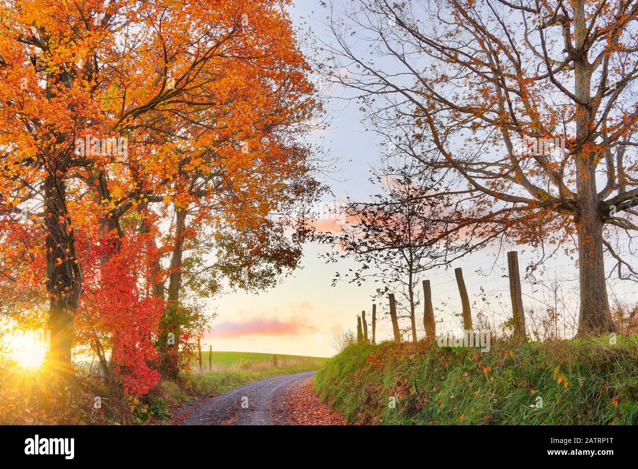 Country Road A Swoope, Shenandoah, Valley, Virginia, Stati Uniti Foto Stock
