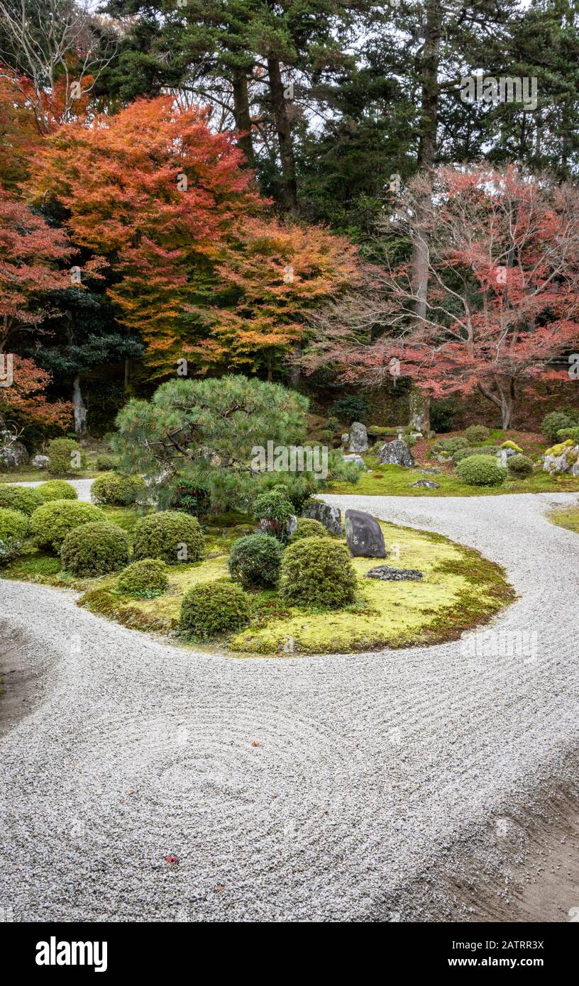 Giardino, Manshuin Monzeki Tendai tempio, Kyoto, Giappone Foto Stock