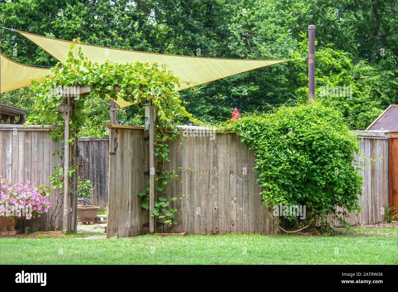 Giardino o zona di festa ombreggiato da vele e un ombrello dietro recinzione privacy con cancello aperto con viti che crescono su un traliccio e su recinto rustico e flusso Foto Stock