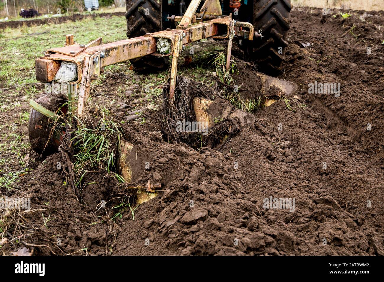 Coltivazione con trattore di terra fertile nera nel Nord Europa alla fine dell'autunno. Preparare terra per l'inverno. Foto Stock