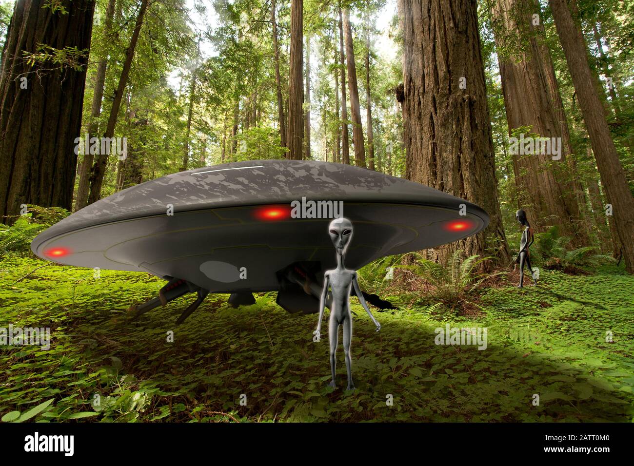 UFO foresta atterraggio con alieno grigio all'esterno. Un membro dell'equipaggio pepa in background. Foto Stock