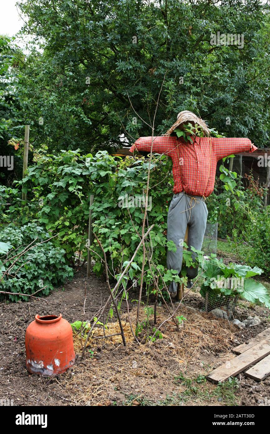 Il giardino cottage d'epoca a Manor Farm, Bursledon, Hampshire, Inghilterra, Regno Unito, ora un museo vivente, che ha caratterizzato nella serie BBC2 'Warttime Farm' Foto Stock