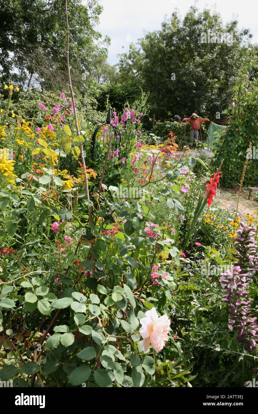 Il giardino cottage d'epoca a Manor Farm, Bursledon, Hampshire, Inghilterra, Regno Unito, ora un museo vivente, che ha caratterizzato nella serie BBC2 'Warttime Farm' Foto Stock