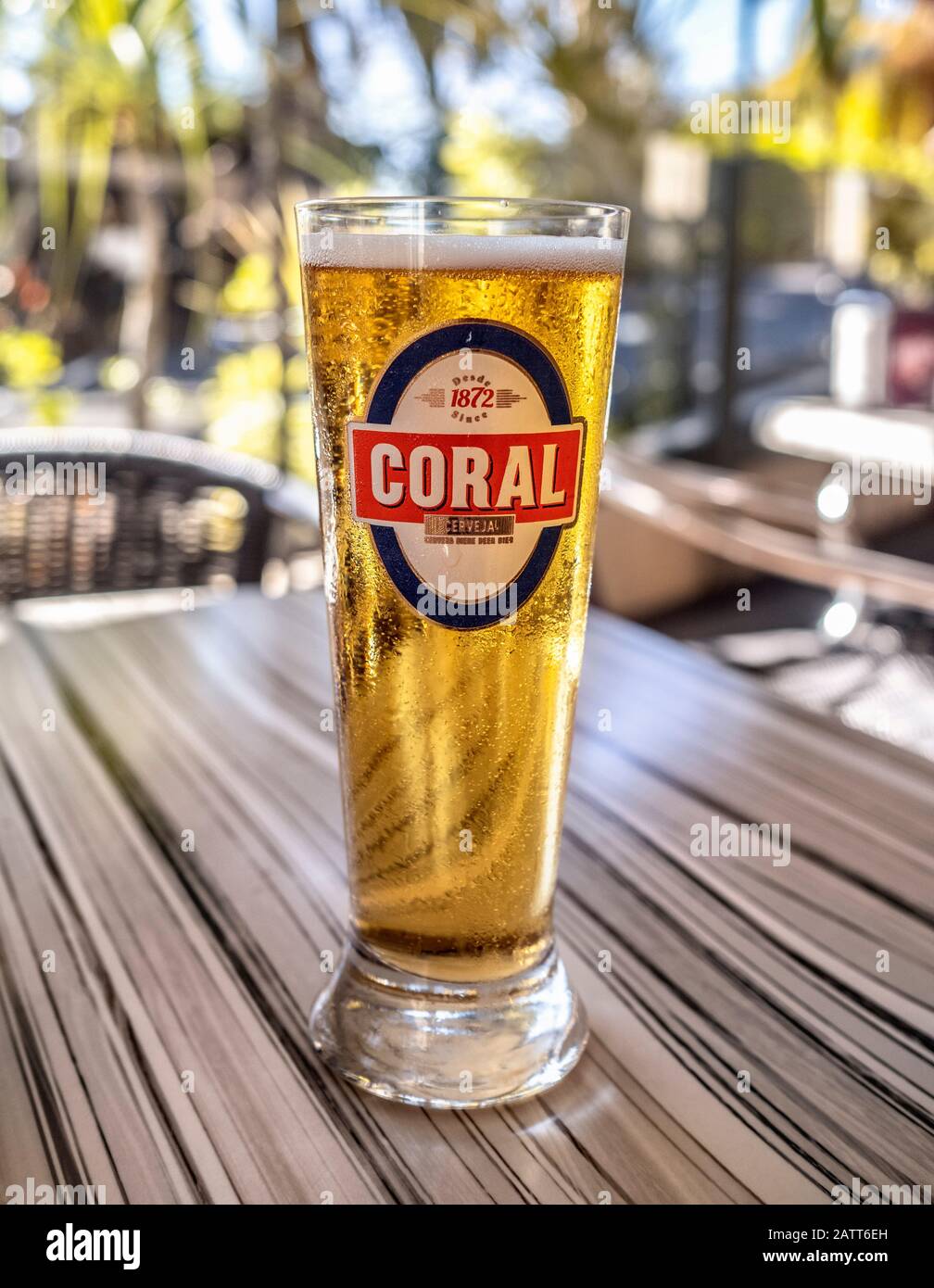 Birra di corallo in un bicchiere. La birra di corallo è prodotta a Madeira. Foto Stock