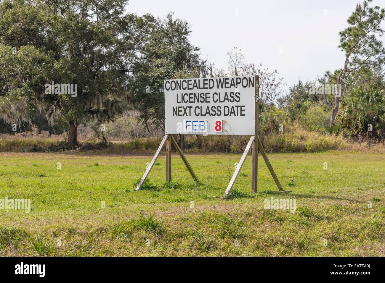 Billboard on state Road 44 a Leesburg, Florida USA, pubblicizzando le licenze Per Armi Nascoste Foto Stock