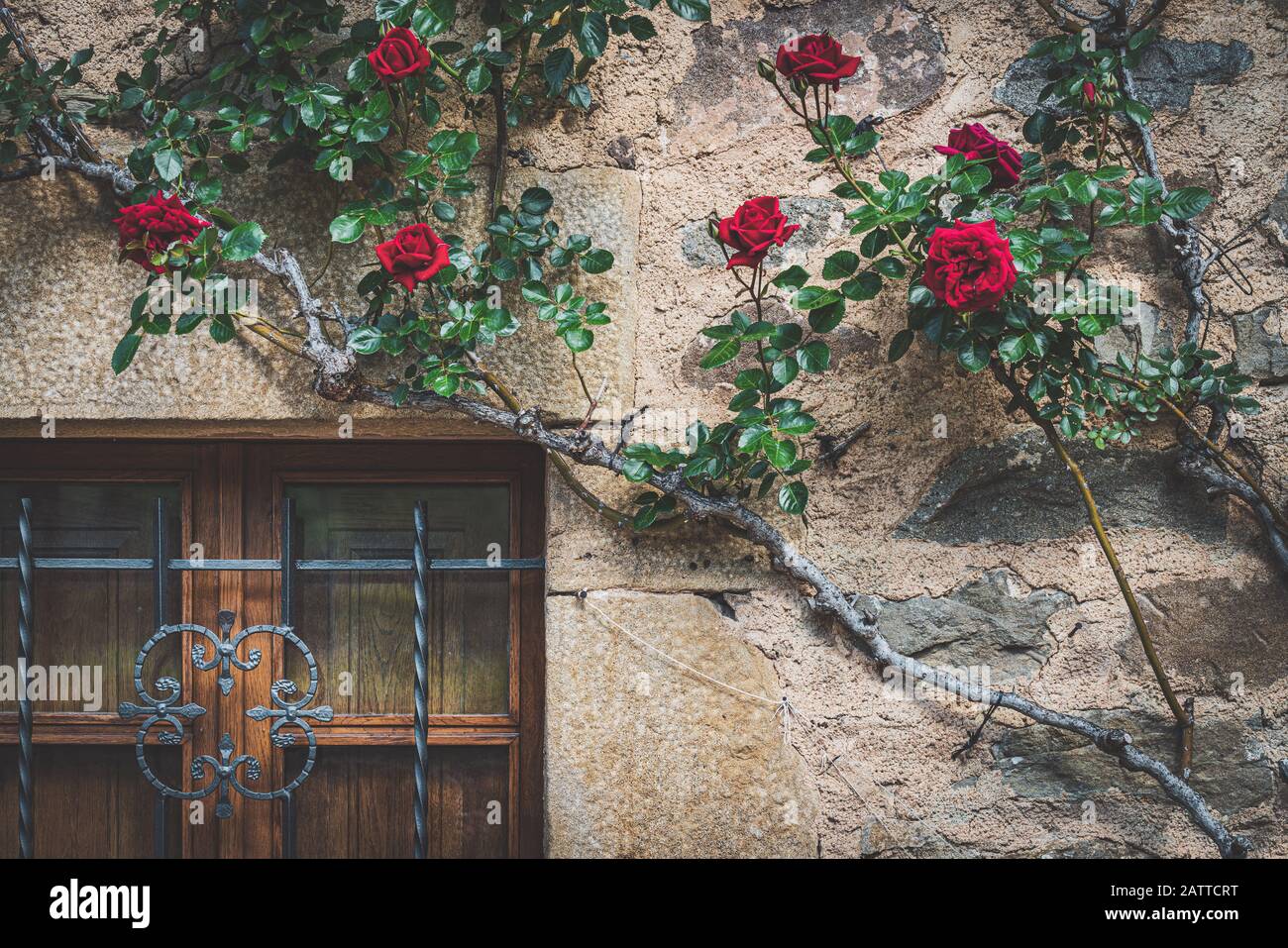 Tradizionale finestra mediterranea in legno con rose rampicanti rosse Foto Stock