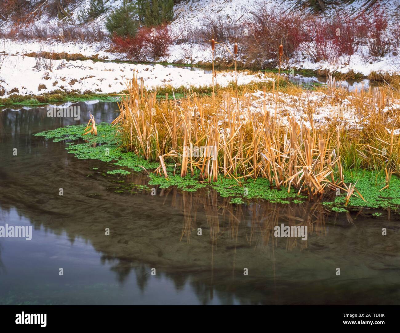 sorgenti calde insenature d'inverno vicino alla guarnigione, montana Foto Stock