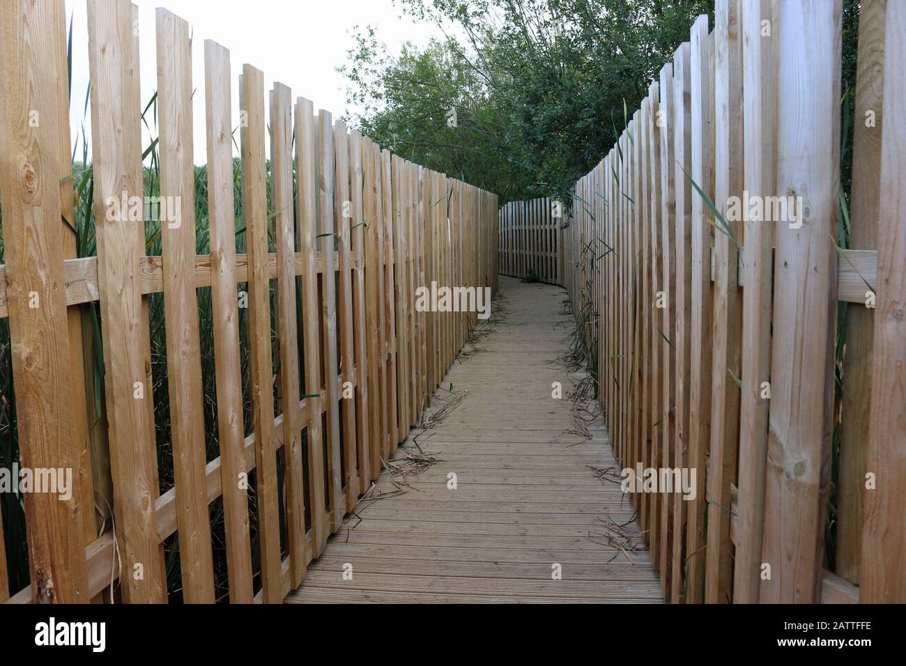 Birdwatching sul lato del lago nasconde la piattaforma di accesso in legno con assi verticali su entrambi i lati per nascondere un birdwatcher in avvicinamento con alberi di sfondo. Foto Stock