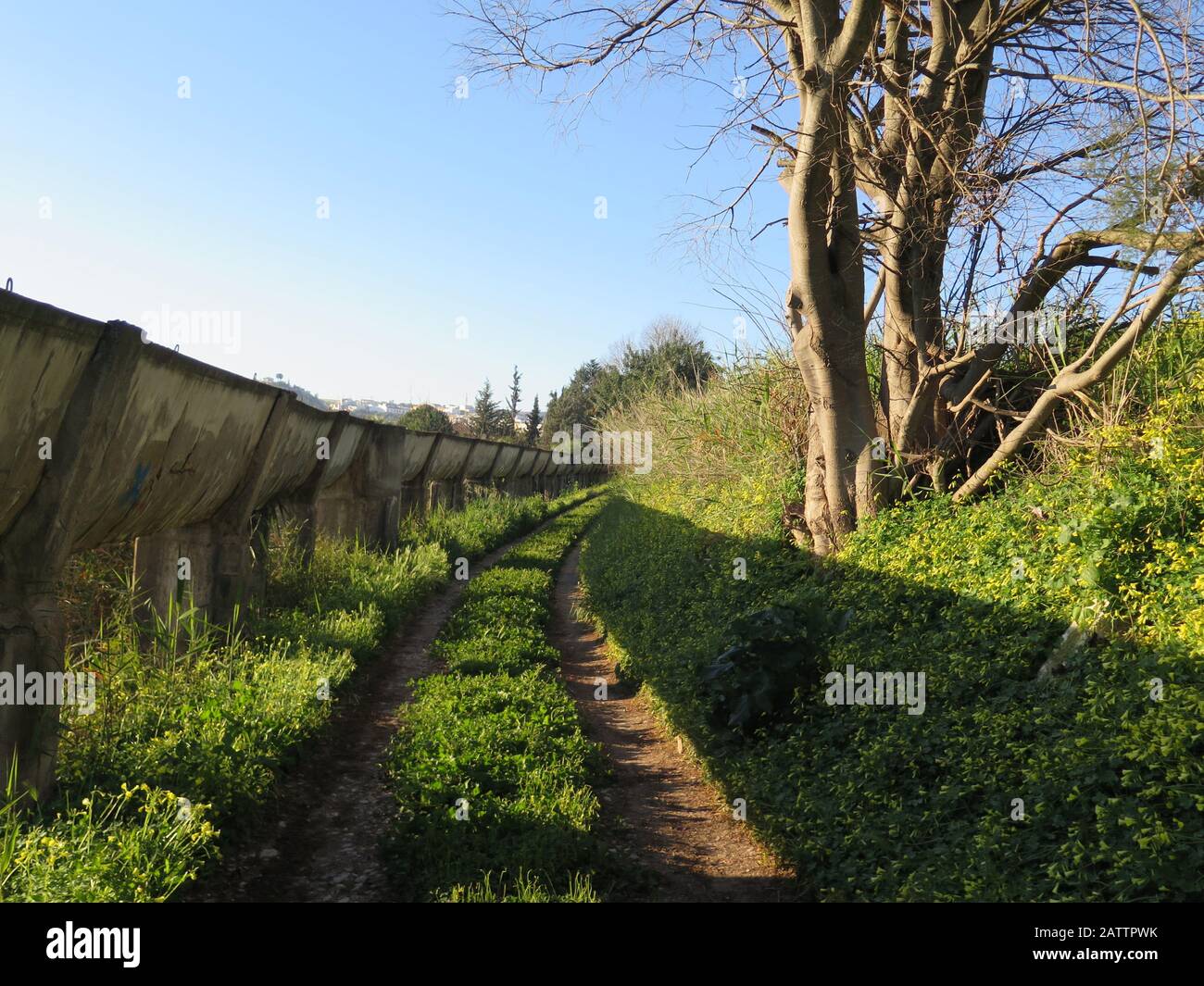 Calcestruzzo elevata canale irrigatorio avvolgimento attraverso campagna vicino a Alora Andalusia Foto Stock