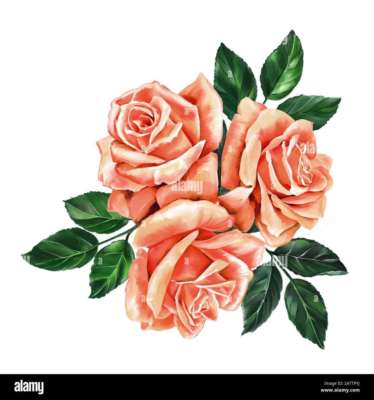 fiore rosa rosa con foglie verdi, illustrazione d'arte dipinta con acquerelli isolati su sfondo bianco. Foto Stock