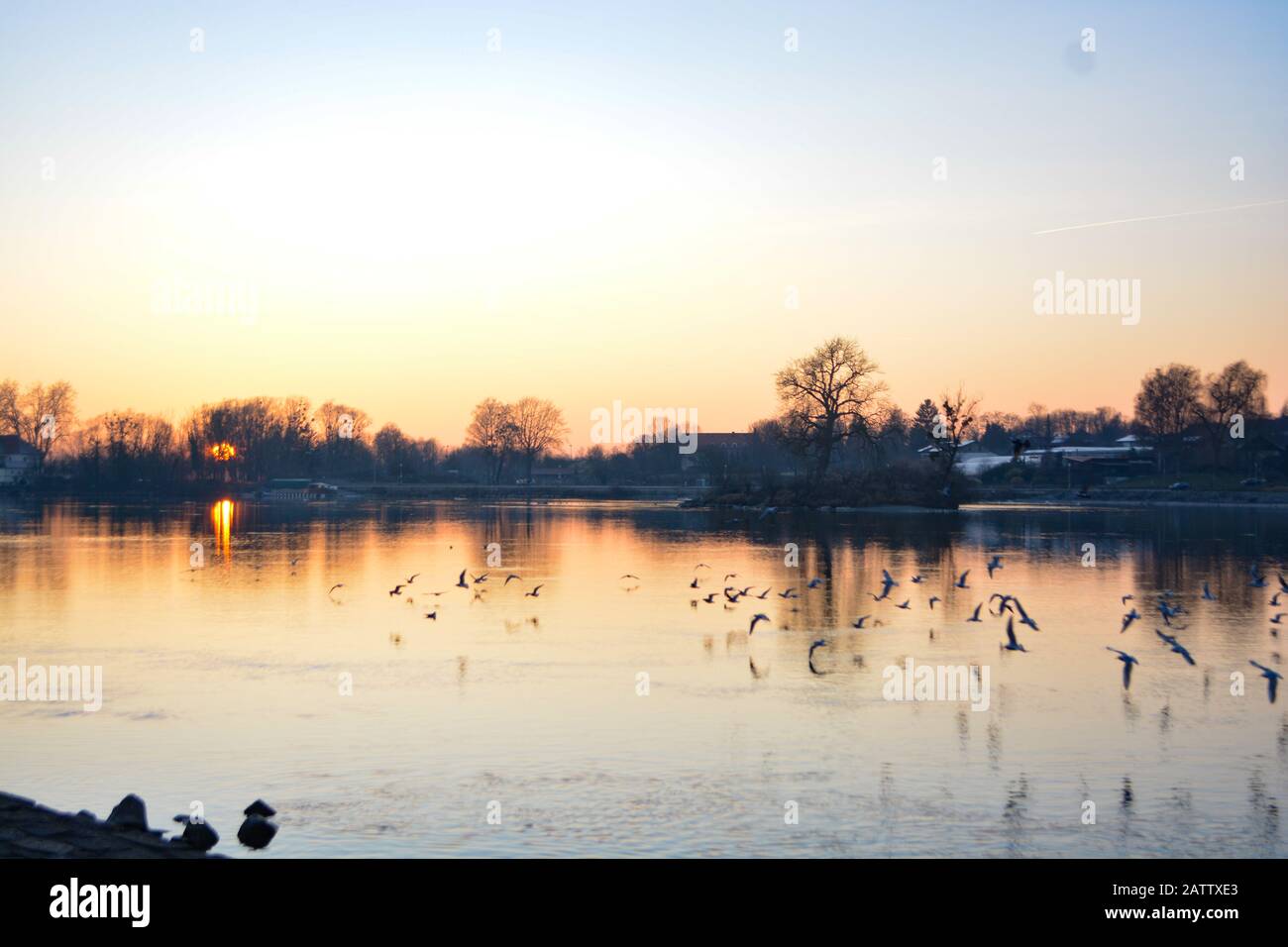 Uccelli che volano al tramonto a Schärding, Austria Foto Stock