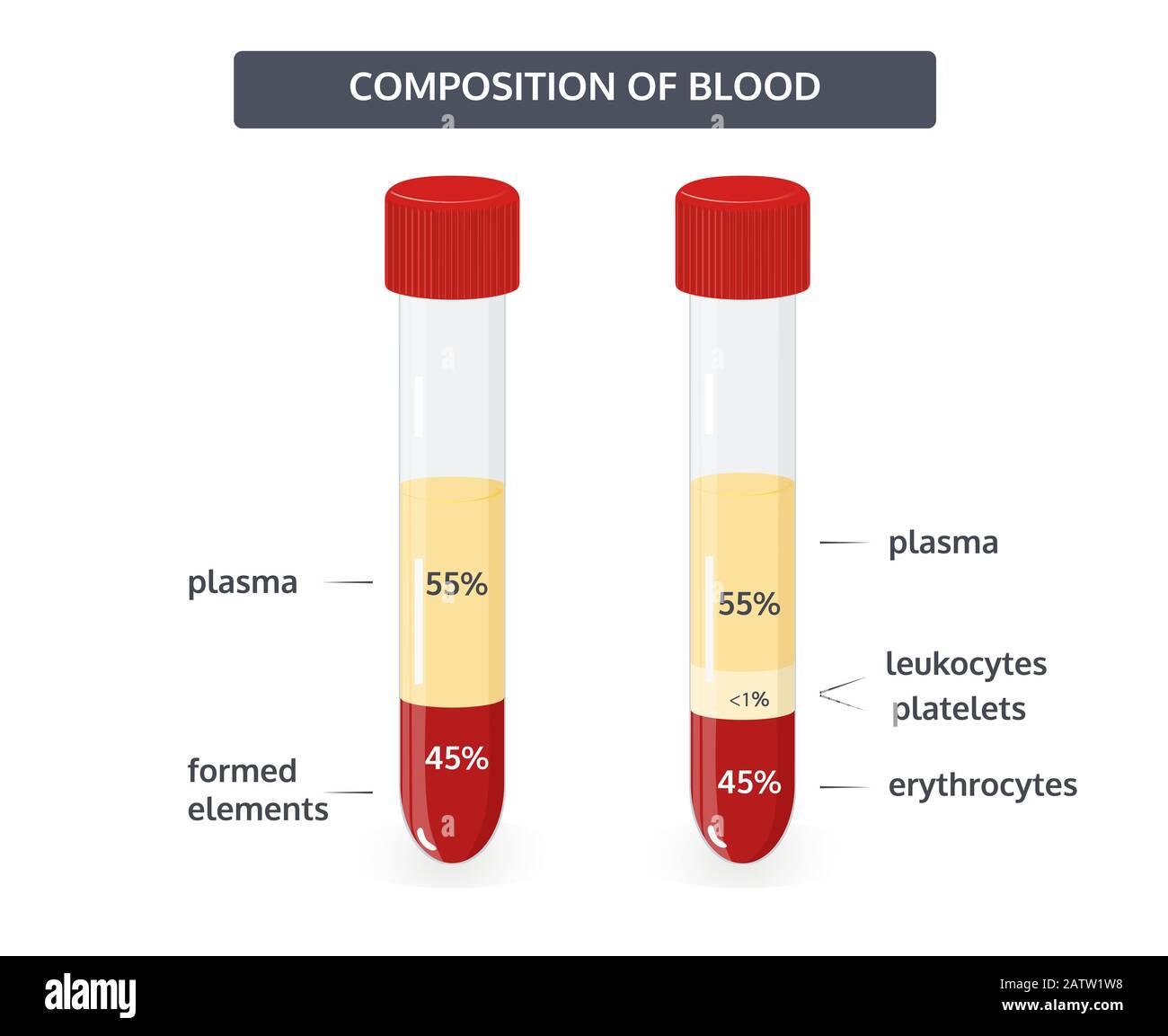 Composizione del sangue, la percentuale di elementi formati del sangue, concetto medico vettoriale. Illustrazione Vettoriale