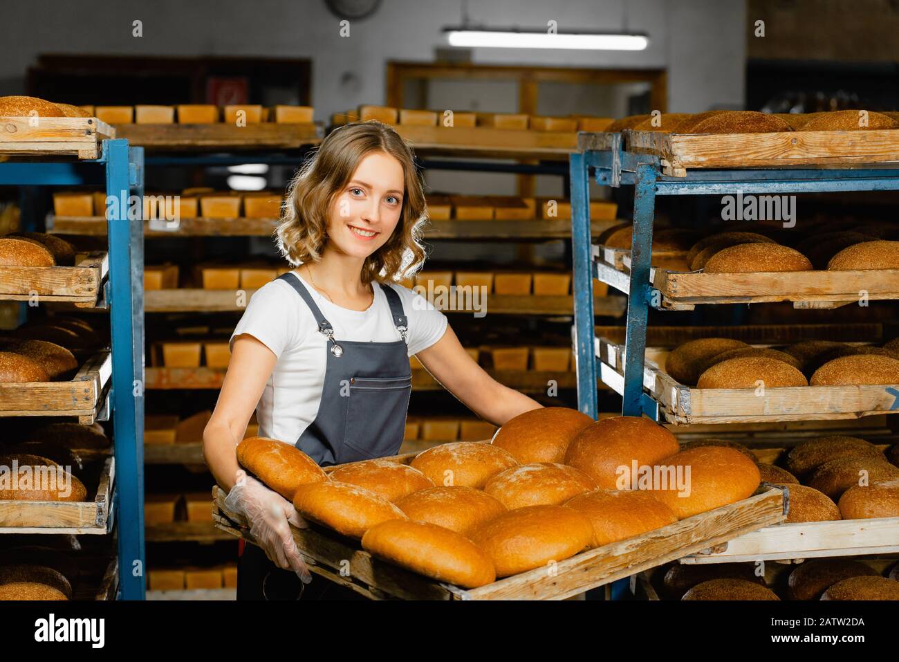Il panettiere della ragazza tiene un vassoio con il pane caldo fresco nelle sue mani contro lo sfondo delle mensole con il pane fresco in una panetteria. Produzione di pane industriale Foto Stock