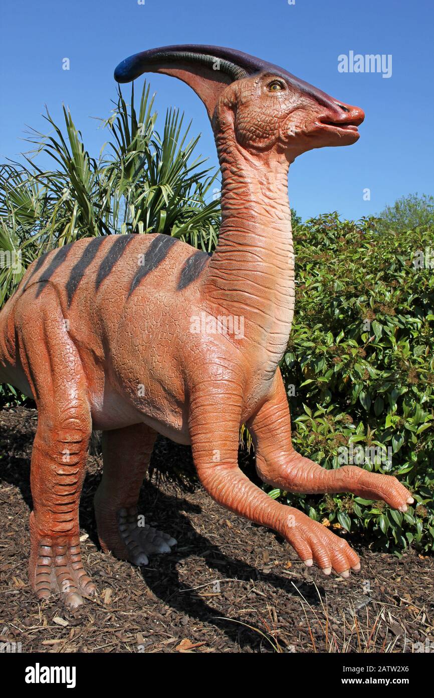 Parasaurolophus Foto Stock