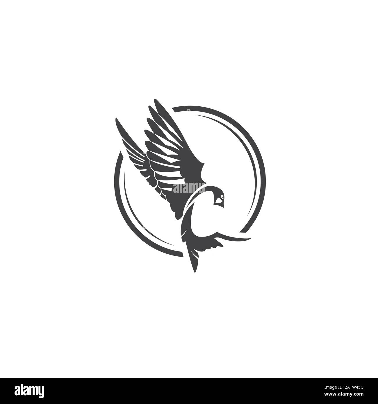 Colibri , colibrì logo disegno grafico vettore isolato Illustrazione Vettoriale