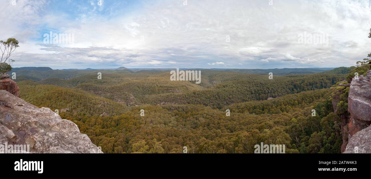 Paesaggio aereo panorama di vasta foresta di montagna. Wynnes Rocks Lookout, Mount Wilson, Australia Foto Stock