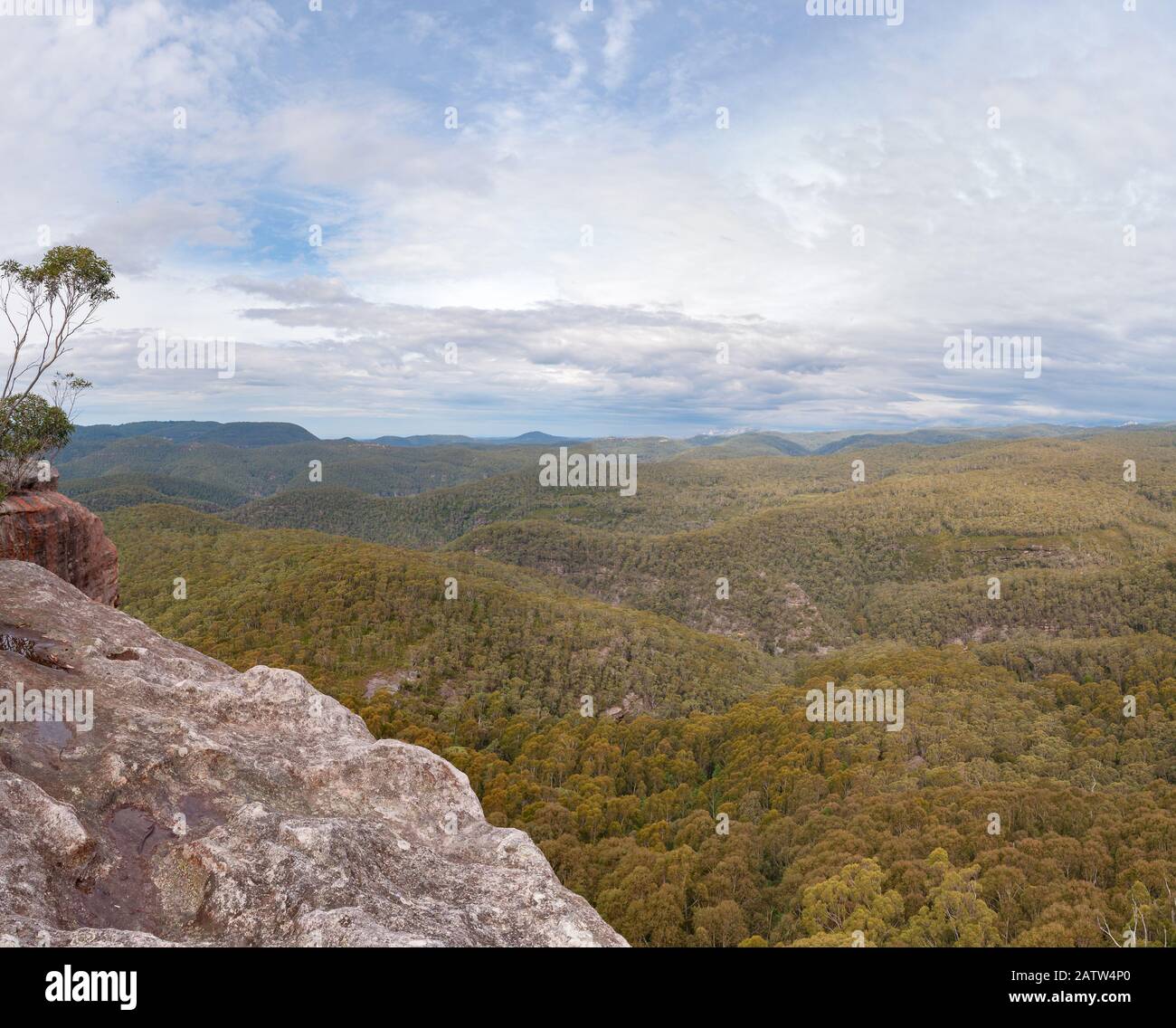 Vista panoramica sulle montagne coperte di forest4. Sfondo natura Foto Stock