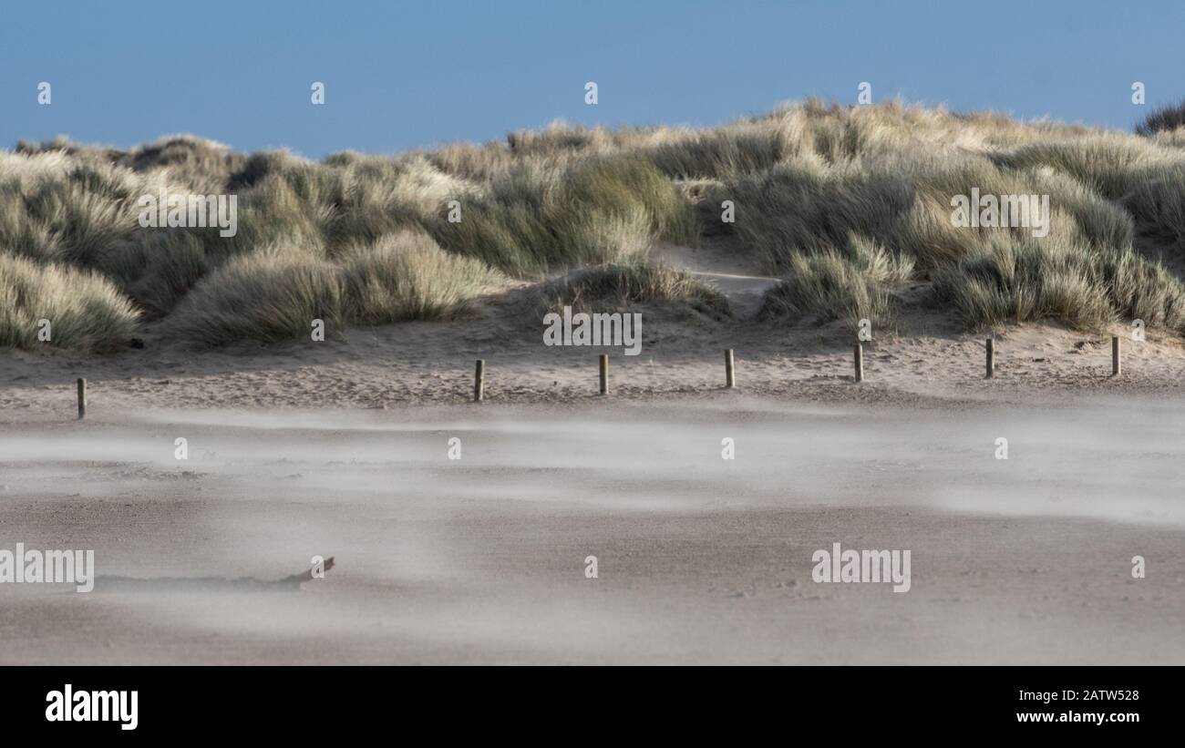 Sabbia che soffia su una spiaggia ventosa Foto Stock