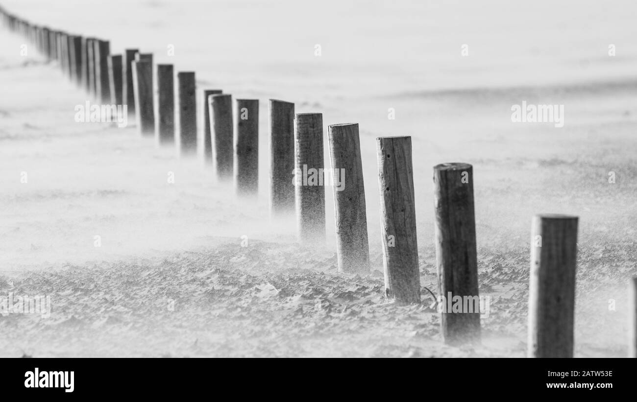 Sabbia che soffia su una spiaggia ventosa Foto Stock