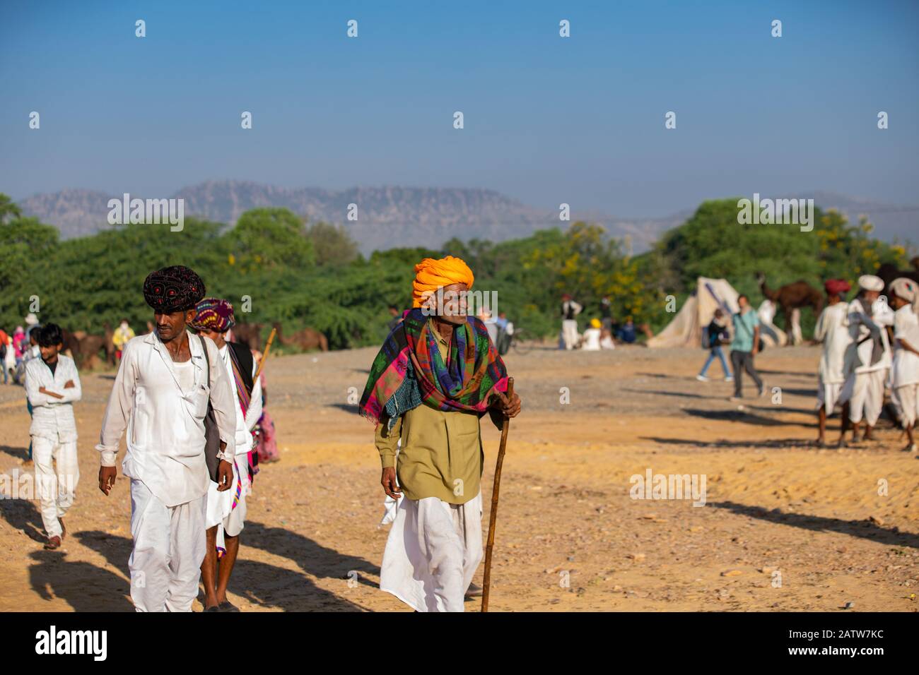 Pushkar, Rajashtan /India - 07/11/2019. Cultura indiana Rajasthani .Rural Old Man Indossare tradizionale abito e giallo Turban (safa) e bastone In Mano Foto Stock