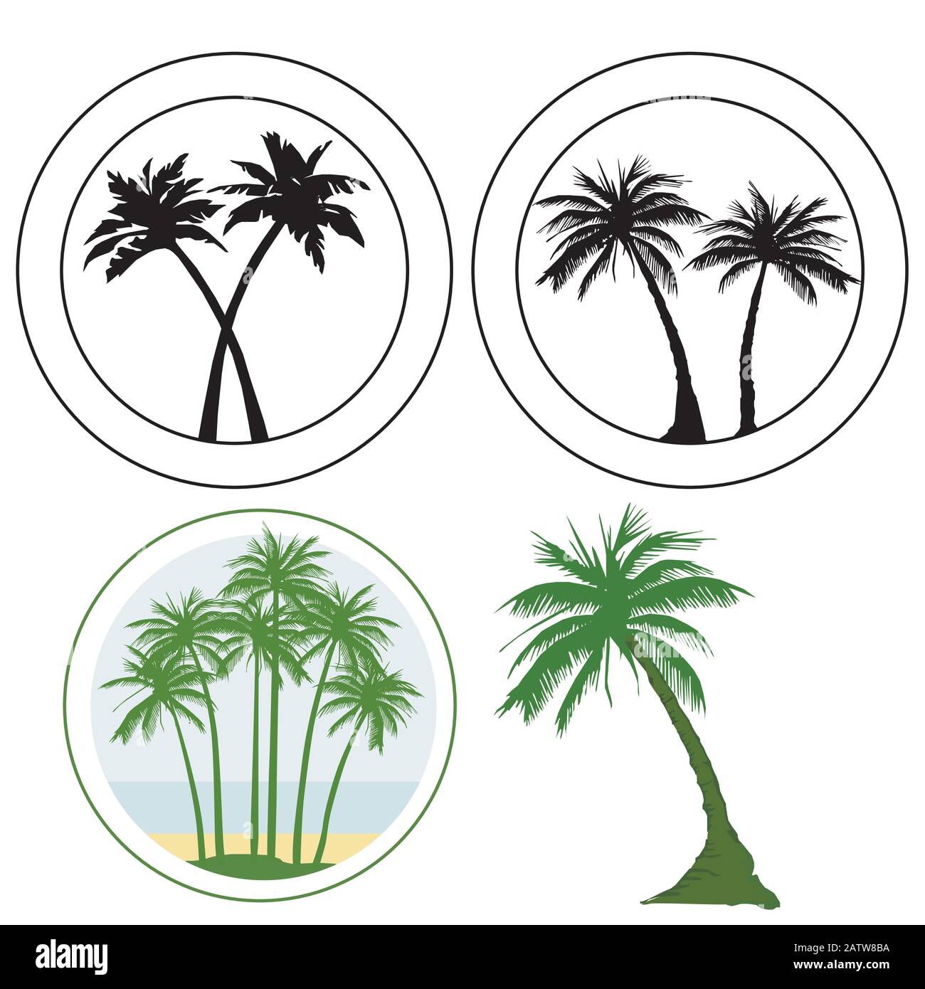 Gruppo di loghi di palma, albero tropicale Illustrazione Vettoriale