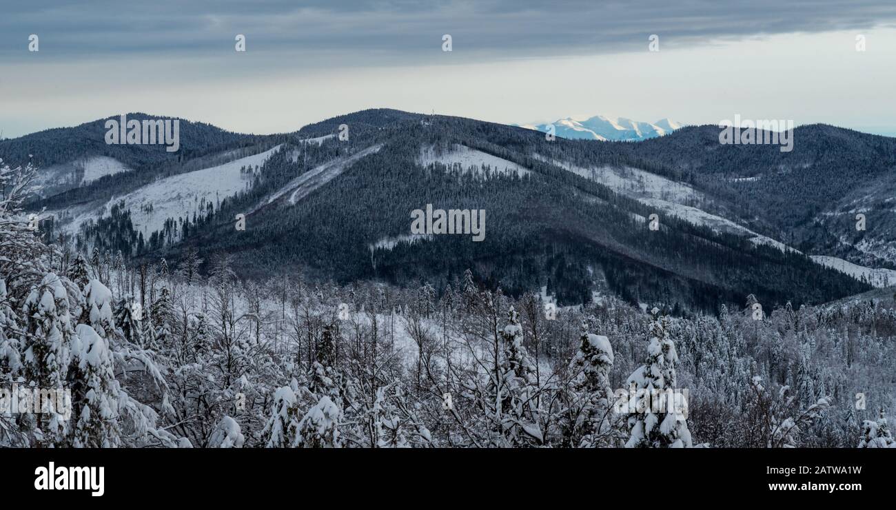 Kysucke Beskydy con poche cime delle montagne Zapadne Tatry sullo sfondo dalla collina di Kykula sopra il villaggio di Oscadnica su slovacco - confine polacco dur Foto Stock