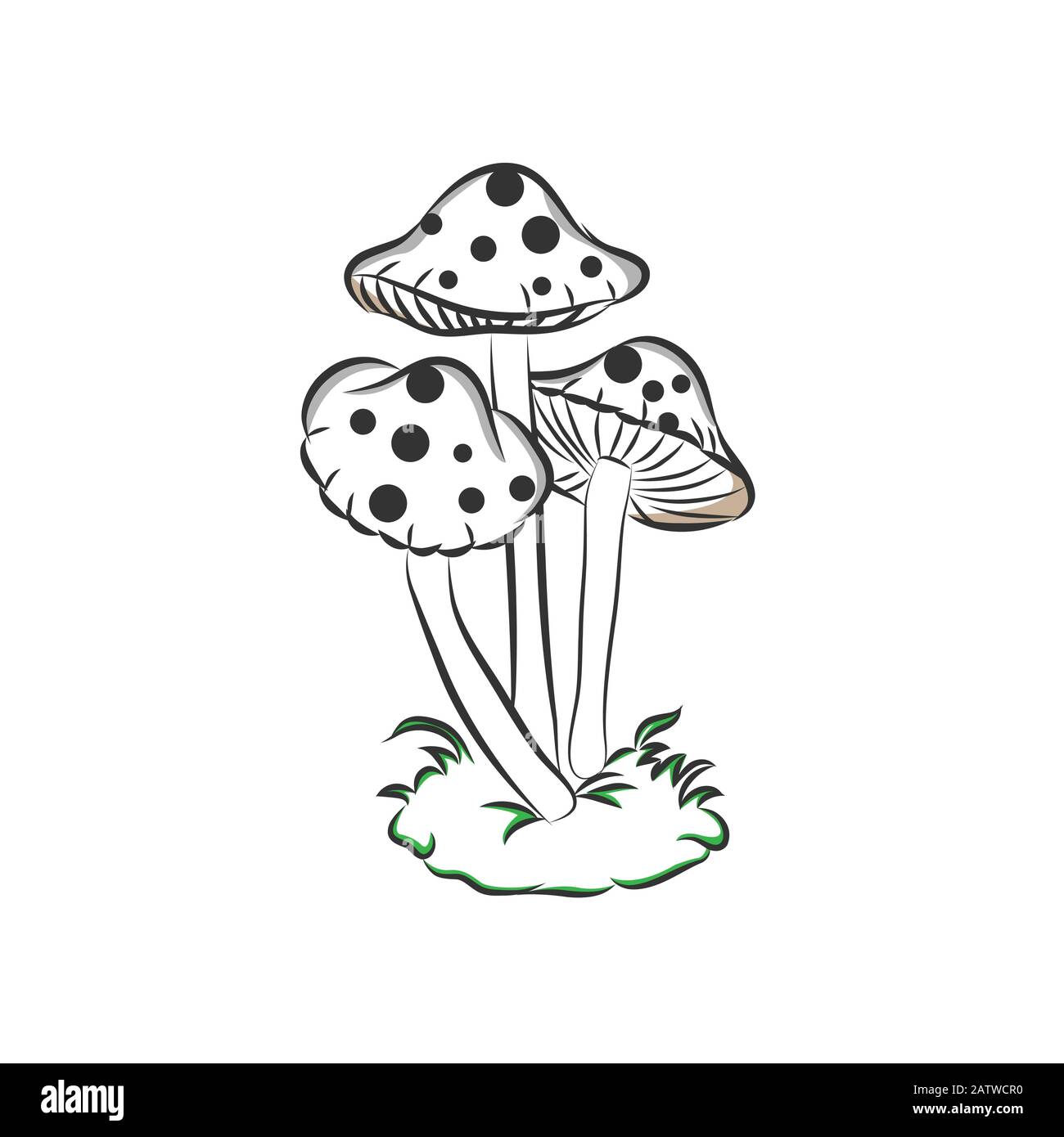 Funghi tirati a mano. Schizzo d'epoca di funghi porcini portobello tartufo morel e funghi ostriche. Illustrazione Vettoriale