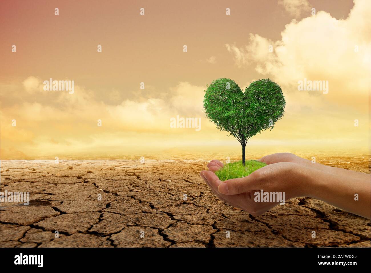Problemi ambientali, Proteggere la natura e salvare il mondo . Un piccolo albero verde di cuore in mano, pronto a piantare, con uno sfondo arido e scoppiettante Foto Stock