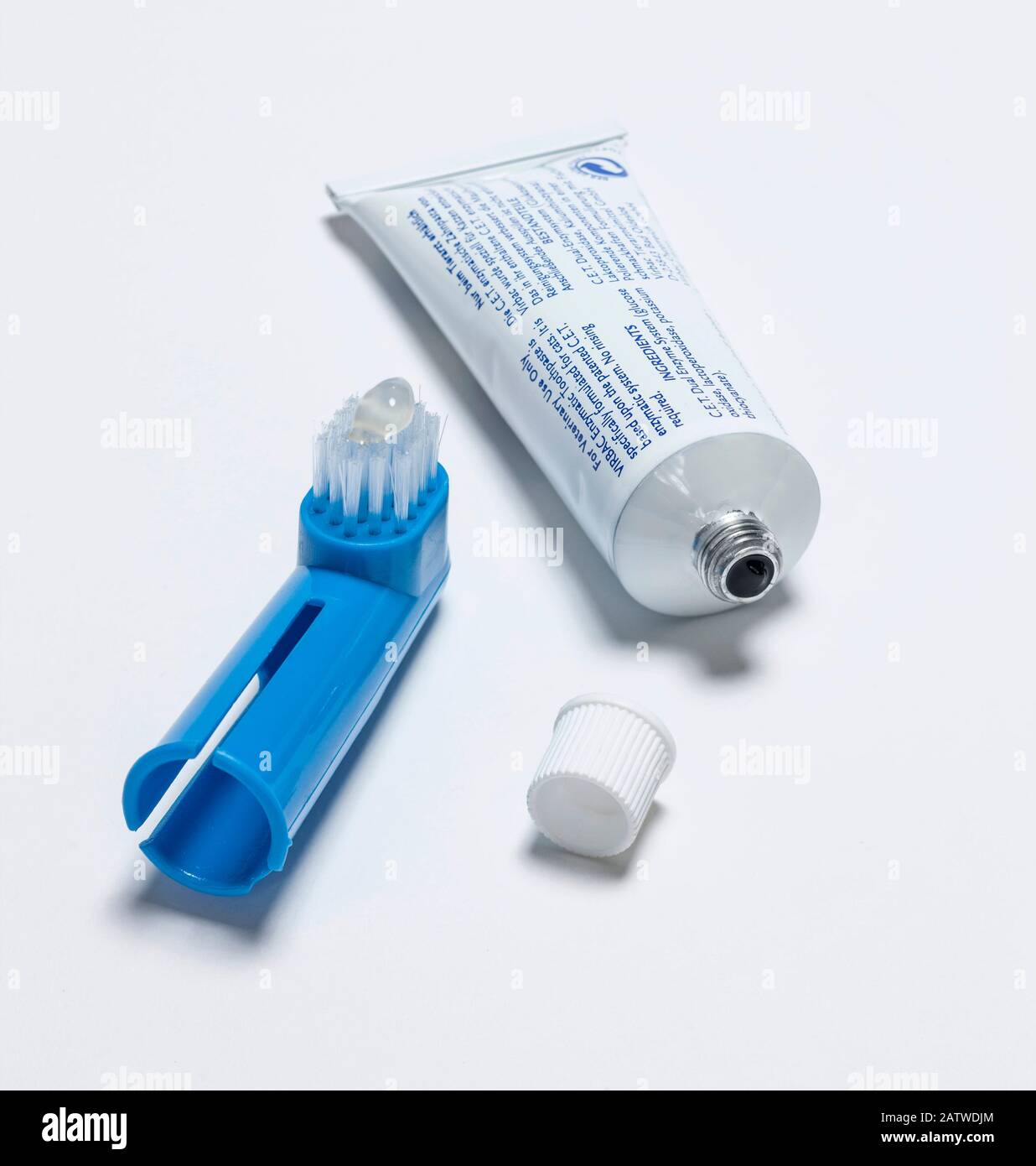 Dentifricio e spazzolino da denti per cani e gatti... Foto Stock