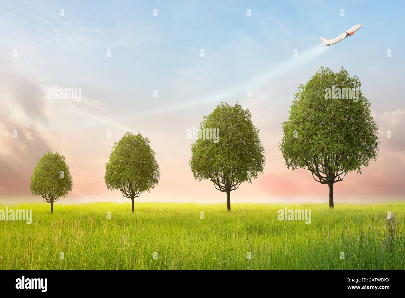 L'albero sta crescendo con il piano che simboleggia la freccia. Concetto di crescita aziendale. La crescita finanziaria è il settore delle imprese needs.The continua espansione o Foto Stock