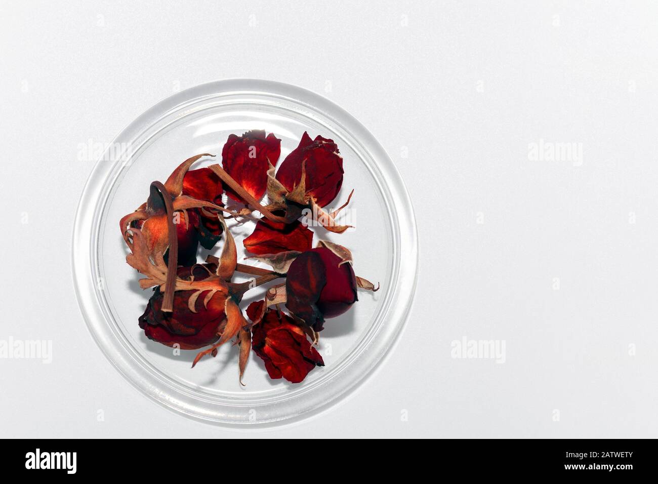 Lastra di vetro con rose rosse essiccate isolata su sfondo bianco. Accumulo di fiori secchi con spazio di copia. Romantica decorazione vista dall'alto Foto Stock