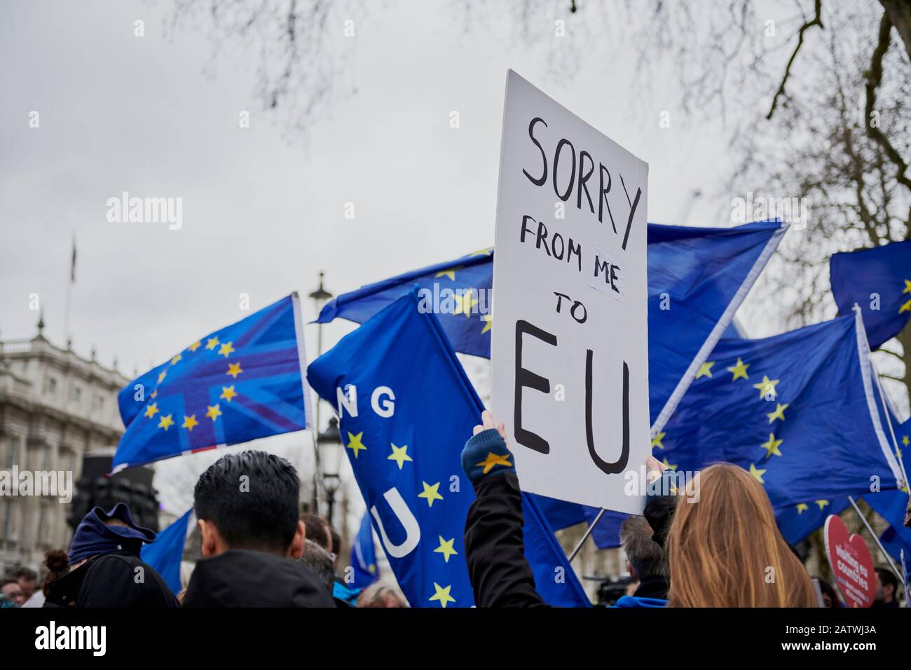 Brexit, come accade. Remainer/Pro EU Foto Stock