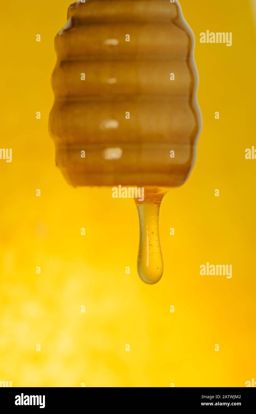 Schizzi di miele dolce biologico. Miele che si immerge dal cucchiaio di miele di legno Foto Stock