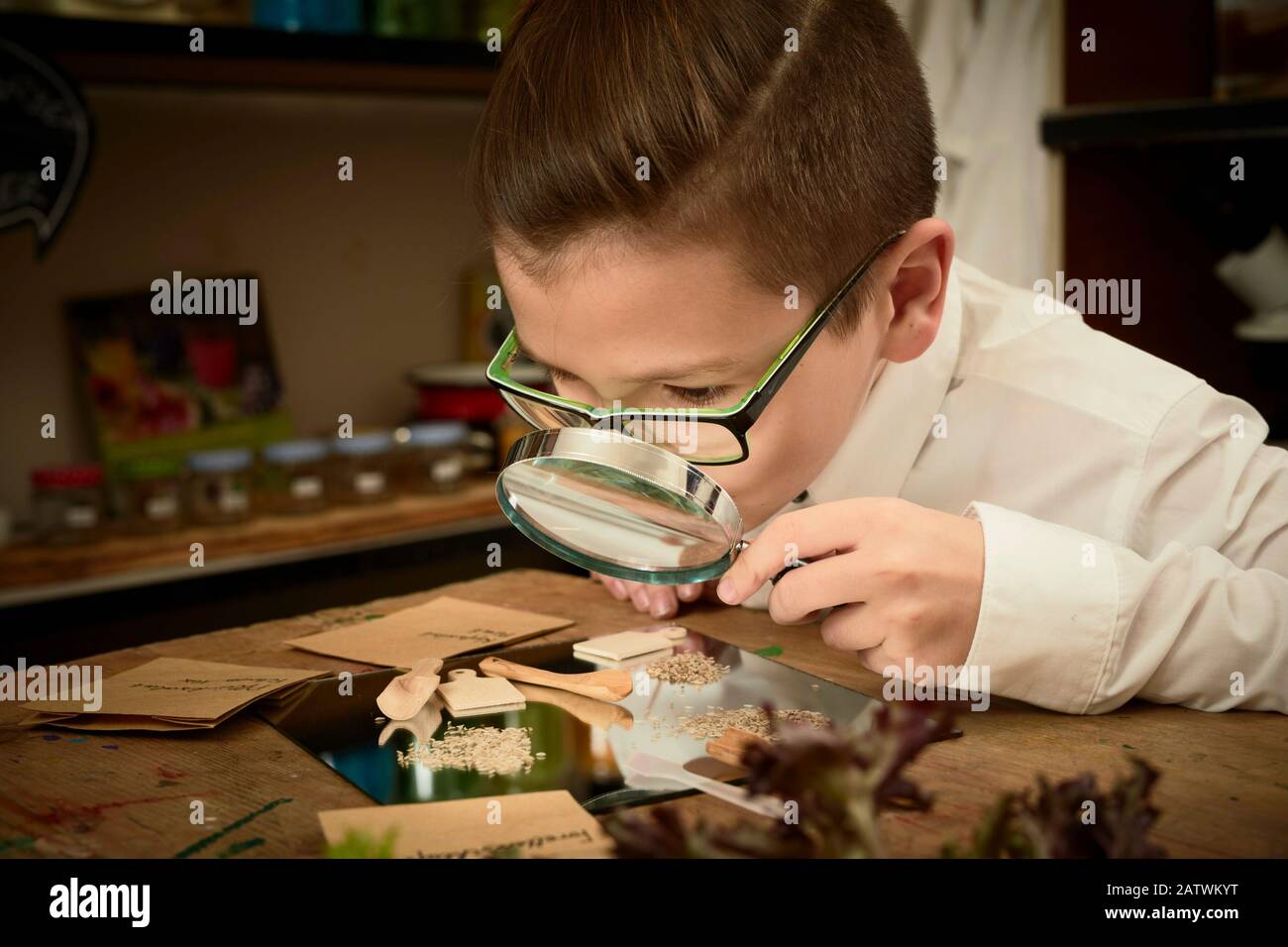 Bambini che indagano cibo. Un ragazzo guarda i semi di lattuga sotto una lente d'ingrandimento. Imparare secondo il principio della Pedagogia di Reggio, comprensione e scoperta giocose. Germania Foto Stock