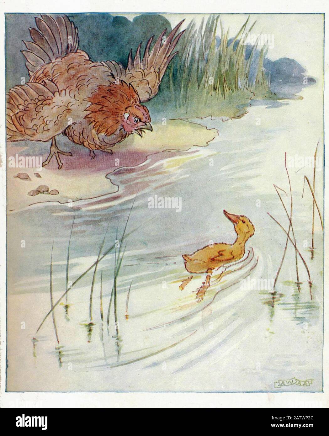 The Daring Duckie Book 1915 - Illustrazione Di Anne Anderson (1874 - 1930) Foto Stock