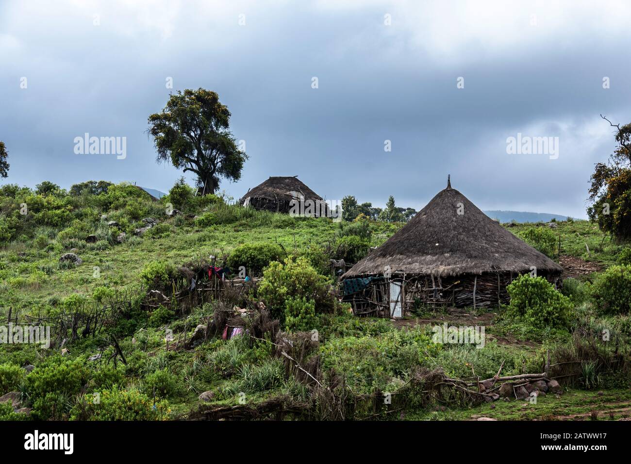 etiopia bale montagne nationalpark Foto Stock