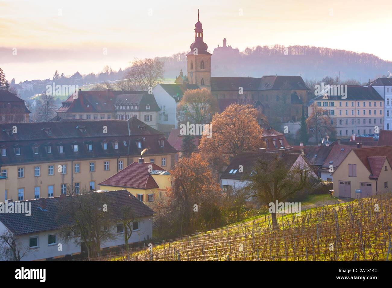 Vista panoramica della città vecchia di Bamberg, con chiesa e vigneto al tramonto, Baviera, alta Franconia, Germania meridionale Foto Stock