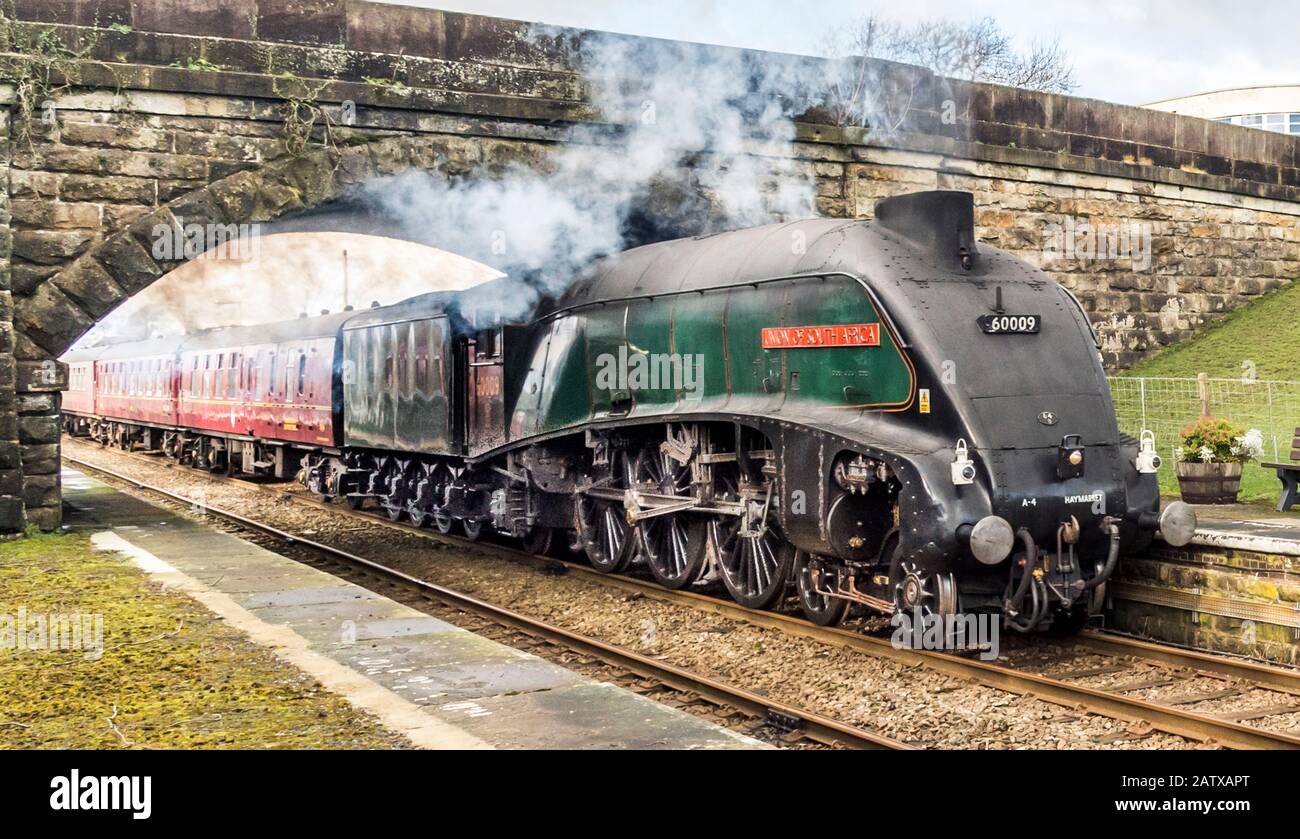 Il famoso treno a vapore LMS Class A4 4-6-2 60009 Union of South Africa viaggia a velocità attraverso High Bentham nel North Yorkshire Foto Stock