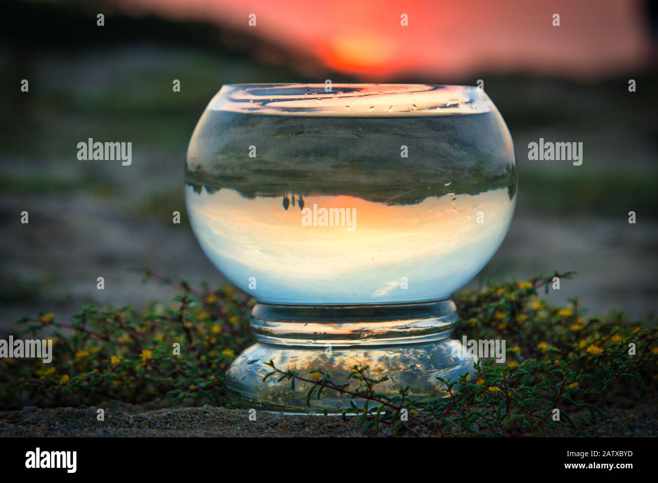 Tramonto telaio capovolto attraverso la ciotola di acqua Foto Stock