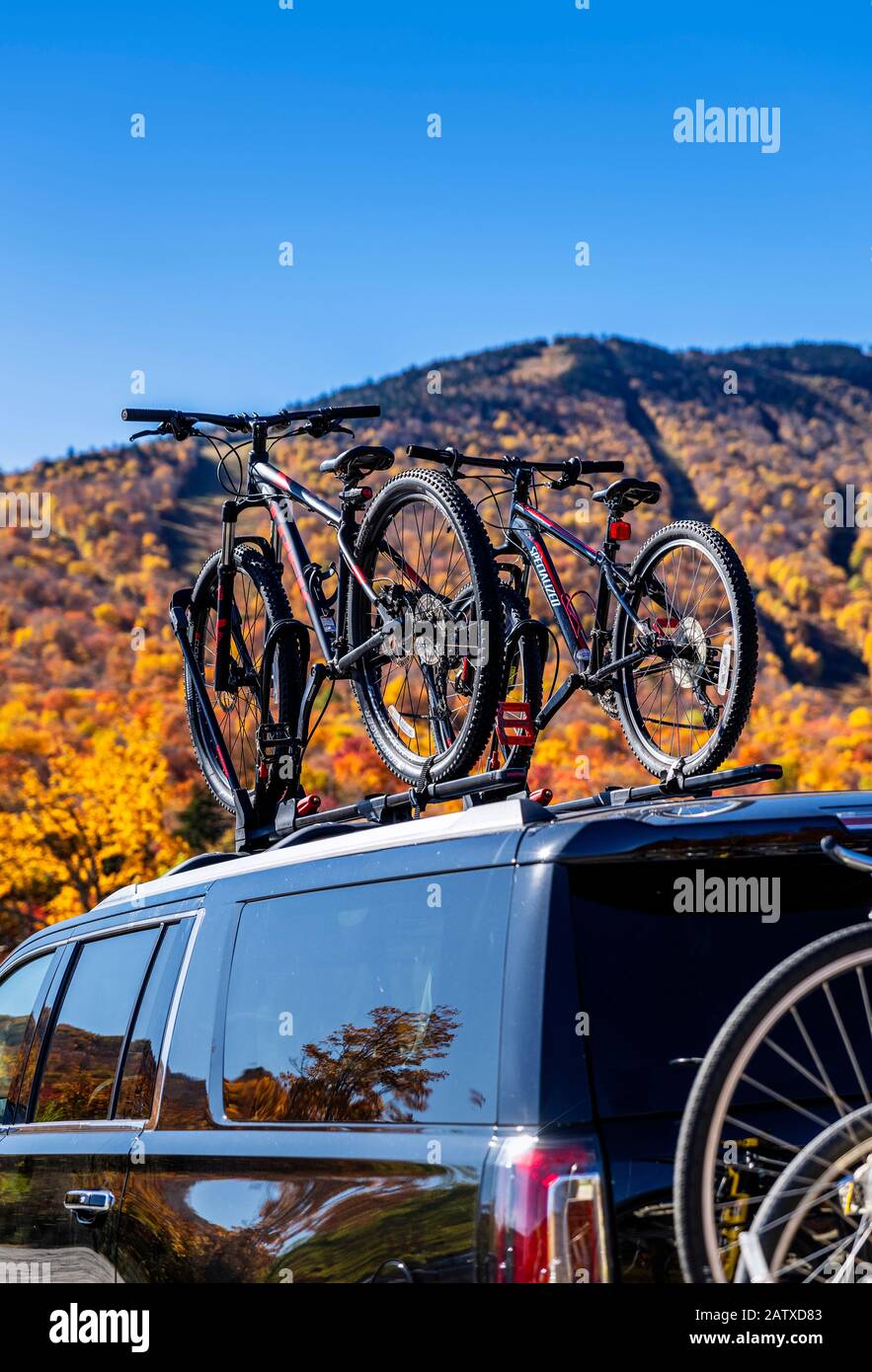 Mountain bike fissate al tetto di un SUV. Foto Stock