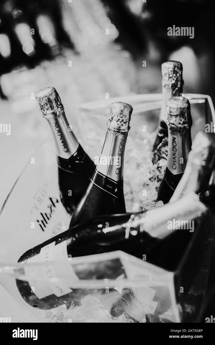 Primo piano della celebrazione champagne in occasione di un evento / networking Foto Stock