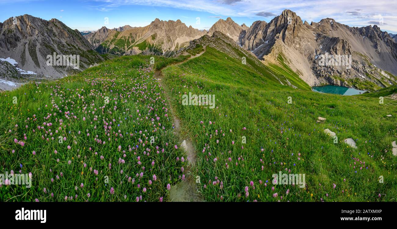 Sentiero di montagna con prato fiorito in paesaggio montano, Gramais, Lechtal, Ausserfern, Tirolo, Austria Foto Stock
