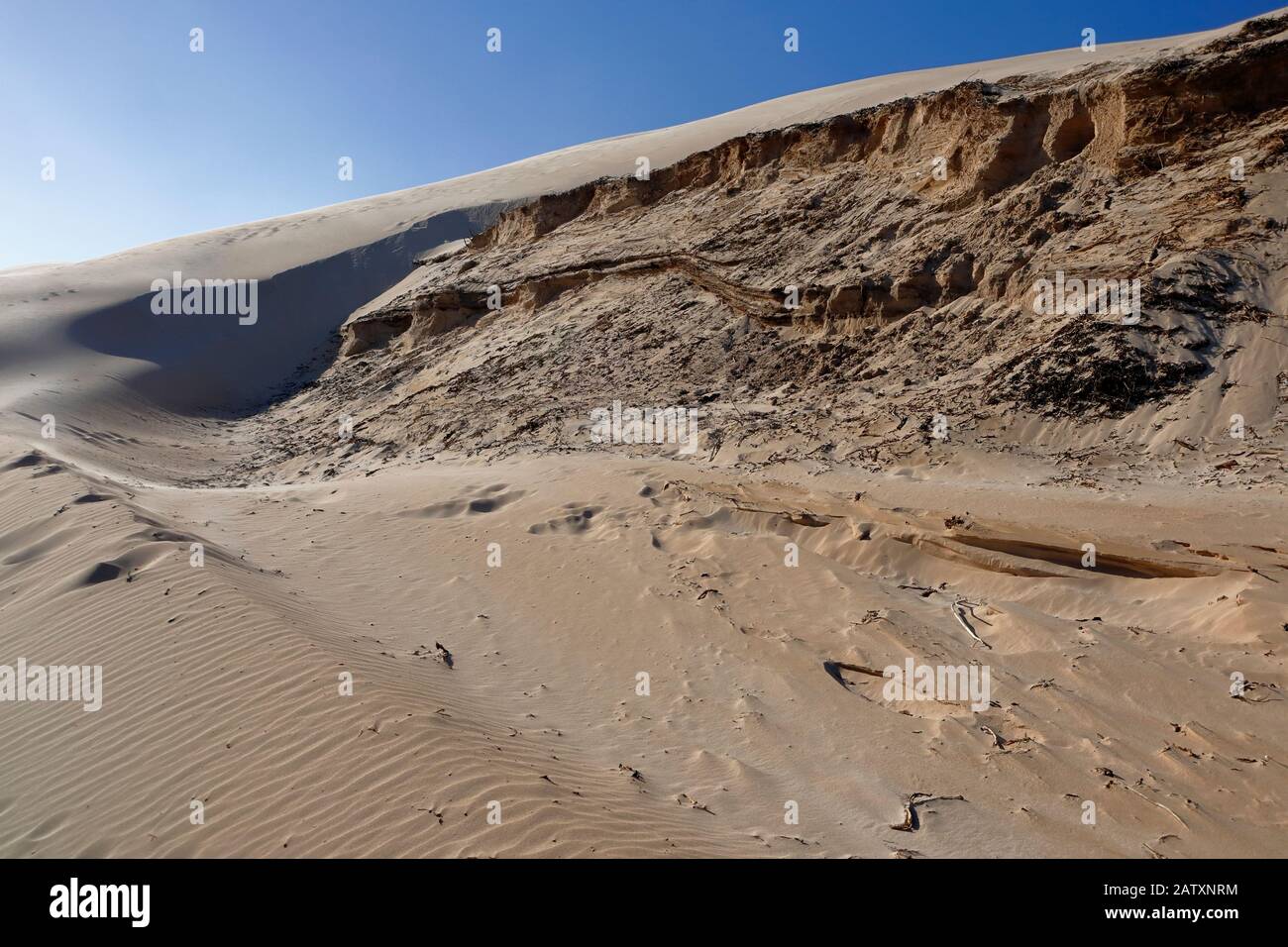 Increspature di sabbia e motivi scolpiti dal vento, forme e texture nelle torreggianti dune di sabbia di Sardinia Bay, Port Elizabeth, Eastern Cape, South Africa Foto Stock