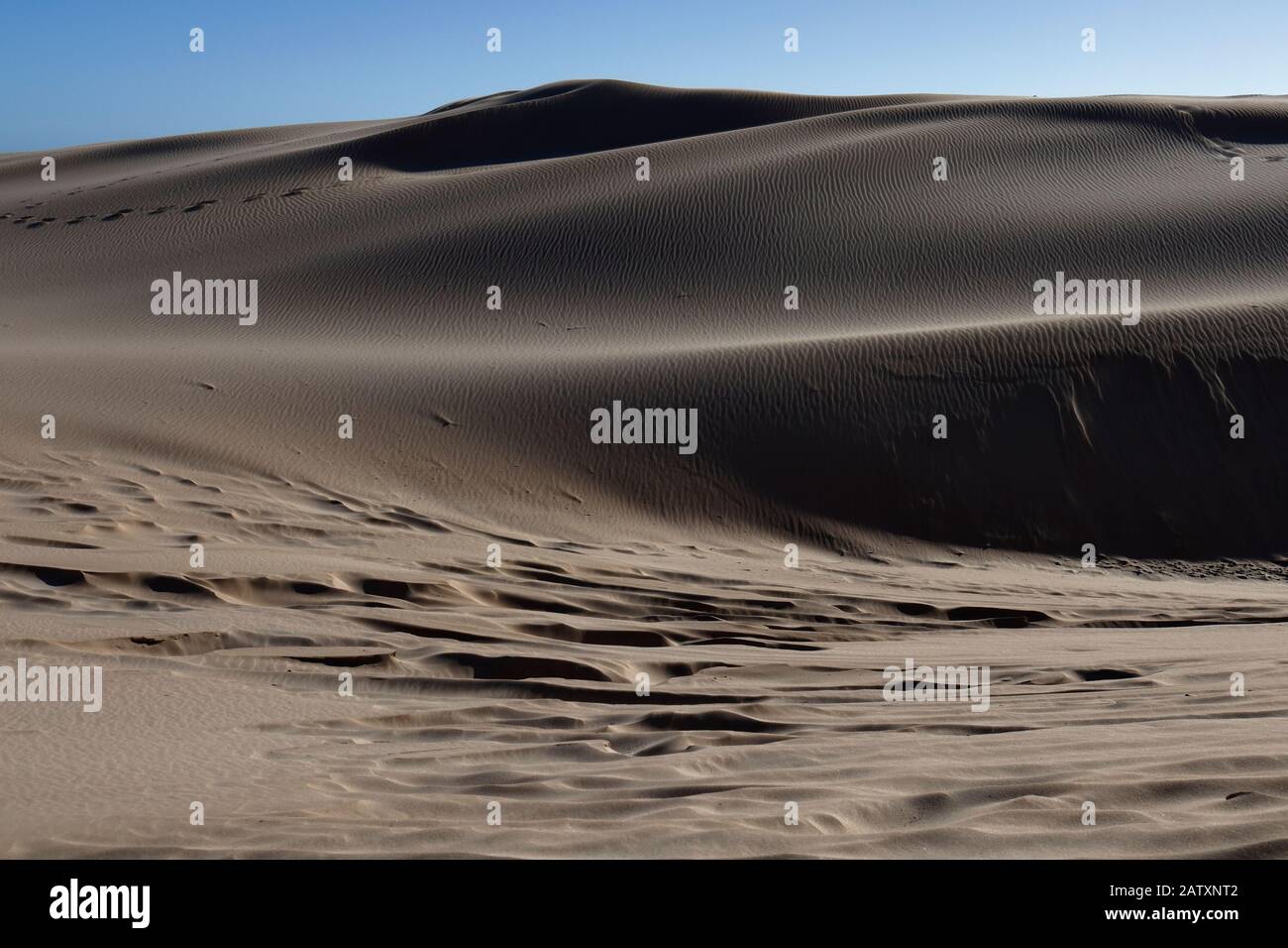 Increspature di sabbia e motivi scolpiti dal vento, forme e texture nelle torreggianti dune di sabbia di Sardinia Bay, Port Elizabeth, Eastern Cape, South Africa Foto Stock