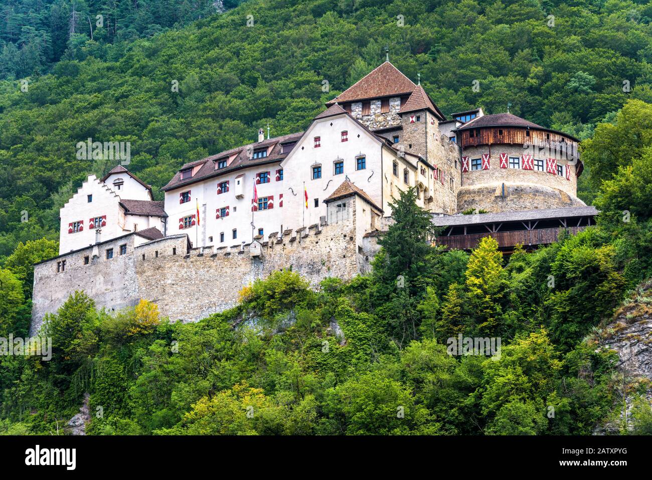 Castello di Vaduz in Liechtenstein. Questo castello reale è un punto di riferimento del Liechtenstein e della Svizzera. Vista panoramica del castello medievale in Alpi montagne in somma Foto Stock