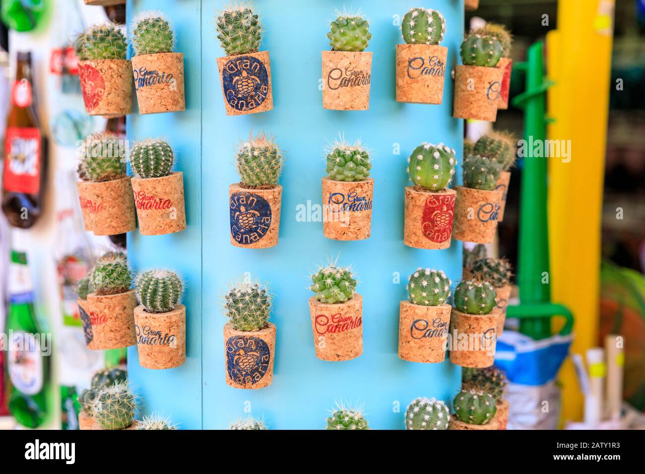 Souvenir mini cactus pianta frigorifero magneti in uno stallo turistico, Gran Canaria, Isole Canarie, Spagna Foto Stock